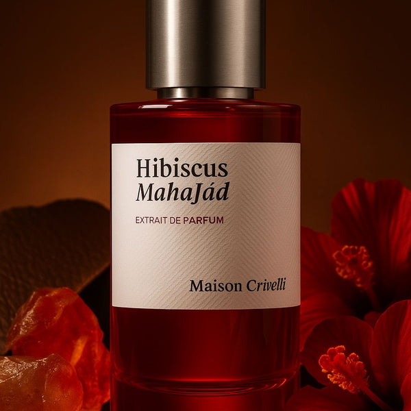 Hibiscus Mahajád – Maison Crivelli