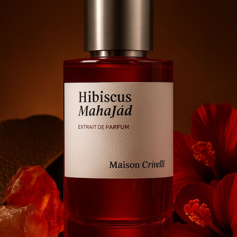 Hibiscus Mahajád – Maison Crivelli